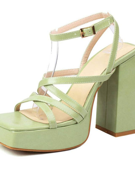 Women Sandals Square Toe Chunky Heel 13cm Platfrom 3cm Ankle Buckle Strap Plus Size